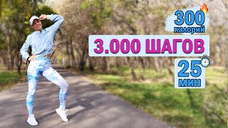 КАРДИО тренировка 3000 ШАГОВ. Сжечь 300 калорий за 25 МИН | Natinfitness