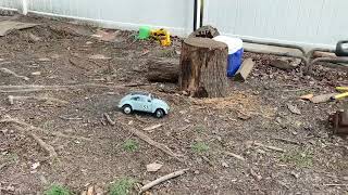 FMS Beetle (The People’s Car) first run.   Boss man’s new work car for RC Construction Site.