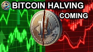 What to expect from the Bitcoin Halving!