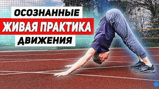 Укрепляющий комплекс //Динамическая растяжка