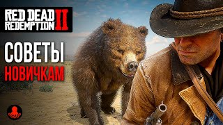 СОВЕТЫ НОВИЧКАМ в Red Dead Redemption 2 | RDR2