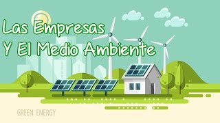 ¿Qué Hacen Las Empresas Para Cuidar El Medio Ambiente? / Las Empresas Y El Medio Ambiente