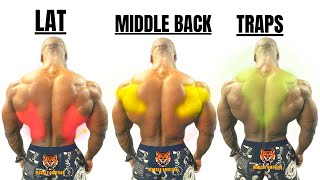 15 BEST BACK EXERCISES TO GET BIGGER BACK FAST / MUSCULATION DOS RÉSULTAT RAPIDE