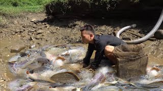 Fishing Technology - The boy cleverly used the pump to suck water in the lake, Catch a lot of fish