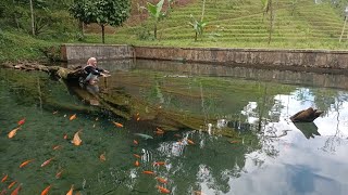 Mata Air Mudal Desa Slukatan Kec Mojotengah Kab Wonosobo Vlog