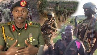 UPDF reveals the secret behind its working relationship with Cong.