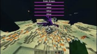 10 wither vs endardragon