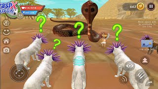 🎯 SNAKE ATTACK WildCraft Animal Sim Online #53 Wild Wolf Pet Simulator Games Android ios Gameplay