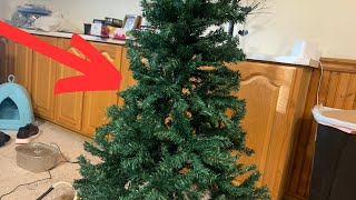 All to Know About Best Choice Christmas Tree. Worth it?