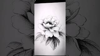 Drawing a flower by pencil #pencil_drawing #pencilart #pencilshading #pencildrawing #artists