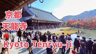 Kyoto Tenryū-ji (京都　天龍寺) ~ November 2022