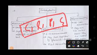 Carbohydrates basic theory