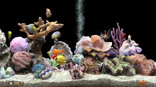 ★ Marine Aquarium ★ UHD Screensaver ★ Black Ocean ★ 60fps ★