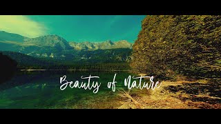 Beauty of Nature // graded //mixed cams