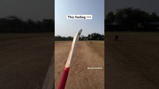 The best feeling | #cricket #cricketlovers #cricketshorts #cricketbat #viral #trending