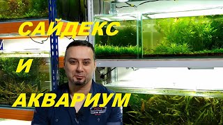 Сайдекс (Глутаровый альдегид) в аквариуме