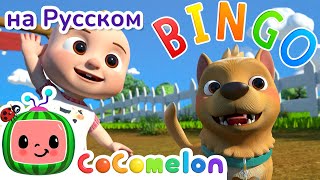 Собака Бинго на Ферме🐕 | CoComelon на русском — Детские песенки