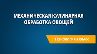 Механическая кулинарная обработка овощей