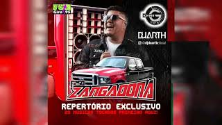 F250 Zangadona Vol20 (São Luis-MA 2024) - DJ Duarth 3