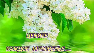 Цените  каждое мгновенье...🌺