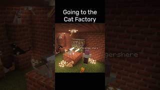 Ever visited the cat factory?#minecraft #memes #shortsfeed #gaming #viral