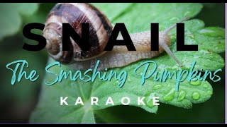 The Smashing Pumpkins - Snail (Karaoke)