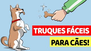 10 Truques Fáceis Para Ensinar Seu Cão