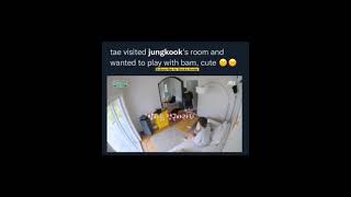 Domestic Taekook playing with Bam, Jungkook’s dog 🐕🥰 #bts #shorts