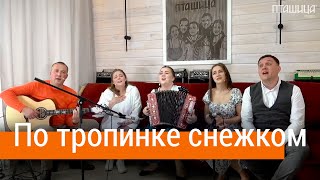 Очень нежное пение песни под гармонь | По тропе, что снежком запорошена, ансамбль ПТАШИЦА