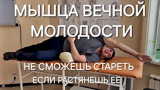 Не сможешь стареть если растянешь эту мышцу. Удлиняй ее и молодей. Чем длиннее тем дольше живешь.