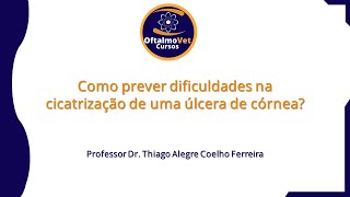 Como prever dificuldades na cicatrização de uma úlcera de córnea