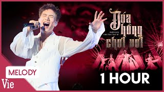 [1 HOUR] Anh Tú Voi "suy" với bản ballad buồn ĐOÁ HỒNG CHƠI VƠI, nốt cao bùng nổ