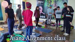 200, 300, 500 Hour Yoga Teacher Training in Rishikesh, India | Vinyasa Yoga Ashram