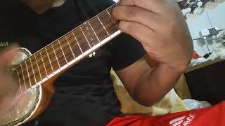 Cover charango - Llajtaymanta para que la vida