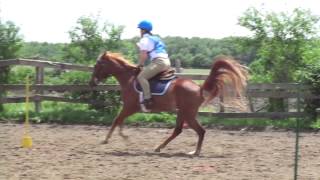 2015 WNY USPC games rally - Sword - Shooting Stars