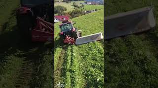 Wer hat schon wieder Bock? 💯🚜 | Case IH | Landwirtschaft| Traumberuf| Farmer