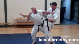 Practical Kata Bunkai: Manji-Uke in Pinan Godan