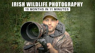 Irish Wildlife Photography - 15 Month Montage