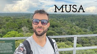 Andando pelo MUSA, o museu da Amazônia, torre de observação da floresta amazônica e trilhas