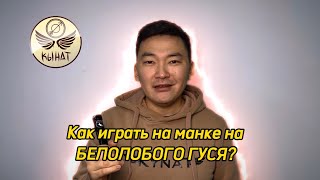 Как манить белолобого гуся. Обучающее видео по игре на духовом манке Кынат "Чолбон"