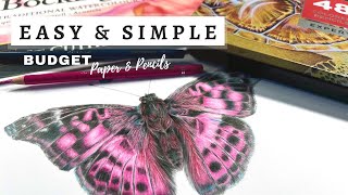 How to Draw a Butterfly (Beginner Colored Pencil Tutorial) #coloredpencil