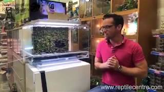 Biopod Terra Terrascape Live Stream