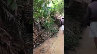 Relax at suối tiên natural stream