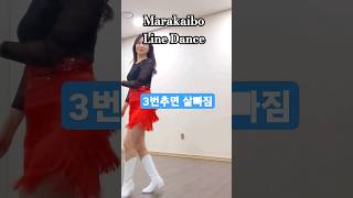 Marakaibo Line Dance #linedance #라인댄스 #다이어트댄스 #이상한라인댄스🤣 #신나는음악 #다이어트