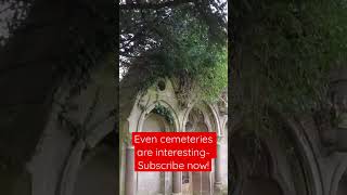 Trowbridge cemetery- full of history and nature!