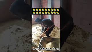 terceiro dia de construção, olhem só o que deu #comedy #funnymemes #viral  #shorts