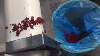 Preserved fruit cutting machine / Dried fruit cube cutter