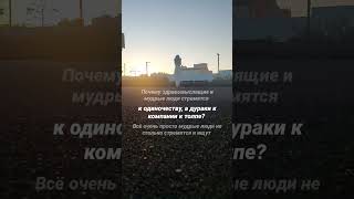 Почему мудрые люди стремятся к одиночеству? #душа #любовь #мудрость #успех #познаниесебя #богатство