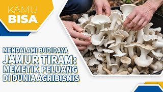 Menjadi Sukses Di Dunia Agrbisnis Dengan Budidaya Jamur Tiram