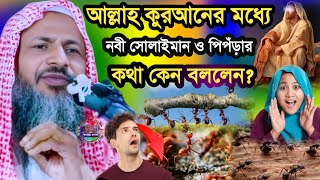 আল্লাহ কুরআনের মধ্যে নবী সোলাইমান ও পিঁপড়ার কথা কেন বললেন | Maulana Noor Muhammad Khatir Jalsa